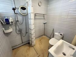 Blk 239 Bukit Panjang Ring Road (Bukit Panjang), HDB Executive #634841941